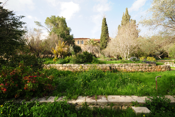 DSC_0864 600X400 DSC_0864 600X400