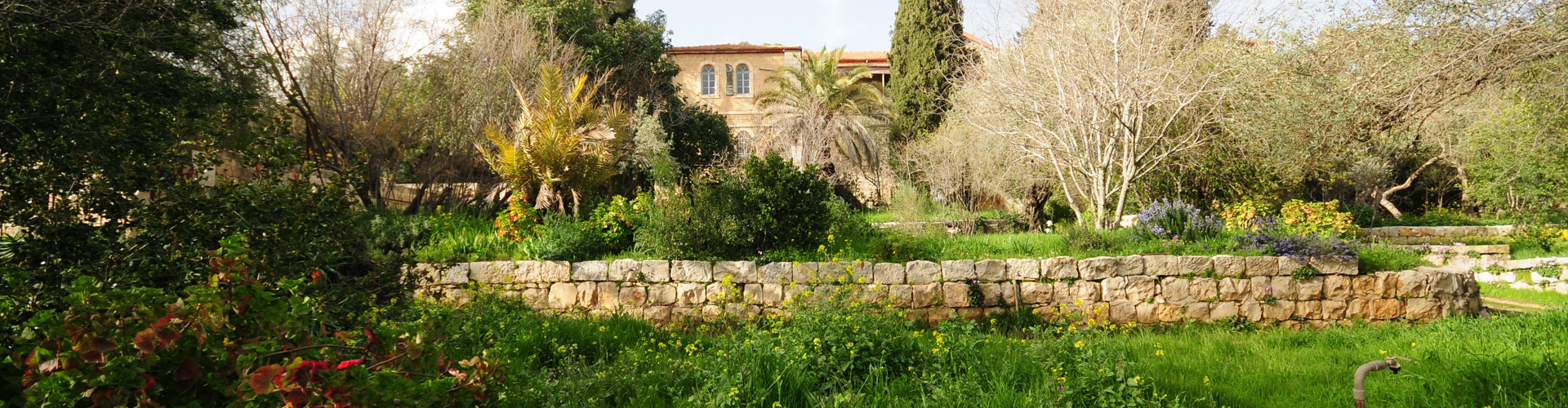 DSC_0864 big banner DSC_0864 big banner