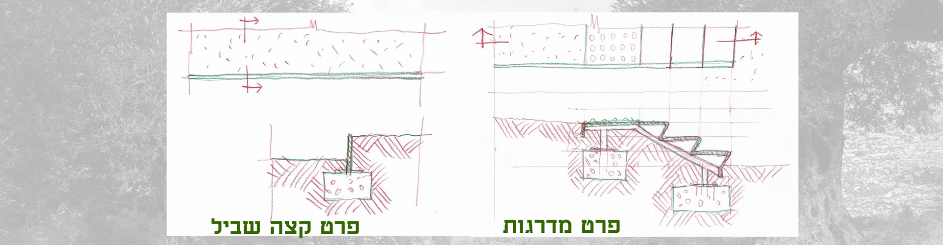 פארק רמות גילה חדש פארק רמות גילה חדש