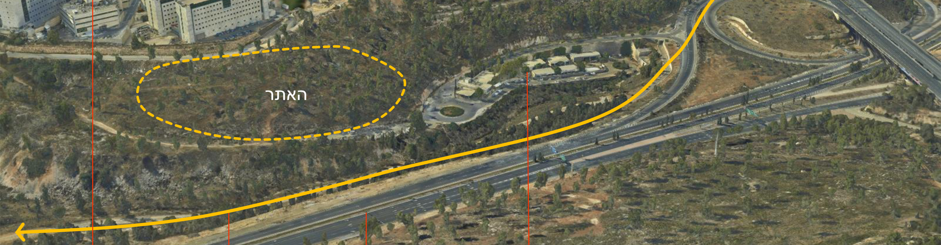 צער בעלי חיים-1 צער בעלי חיים-1