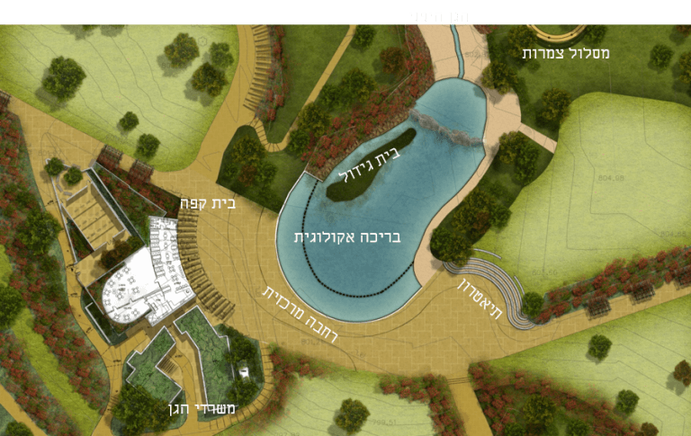 הדמיה תלפיות